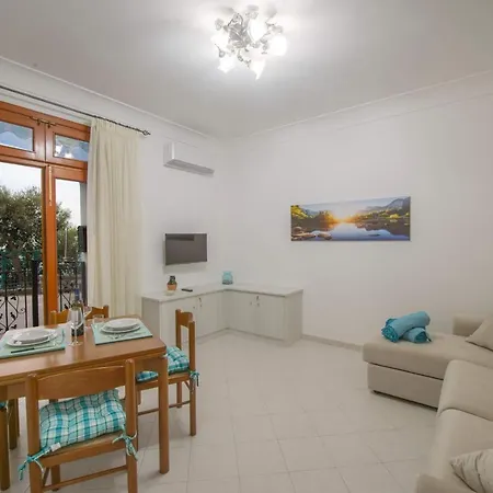 Rosemary 콩카데이마리니